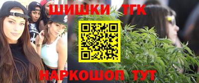мет Кингисепп