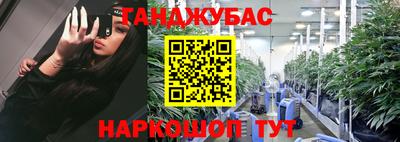 мет Кингисепп