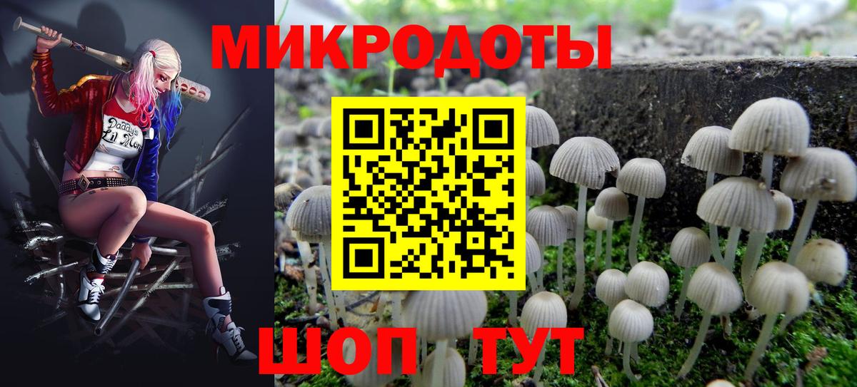Качканар  Галлюциногенные грибы прущие грибы  хочу   Вход с VPN  Псилоцибиновые грибы прущие грибы 